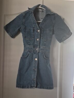 Zara Dark Blue Denim Button-Front Casual Dress